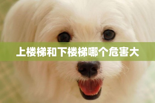 上樓梯和下樓梯哪個危害大
