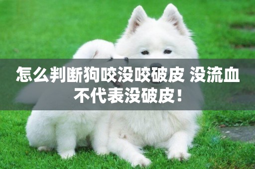 怎么判斷狗咬沒咬破皮 沒流血不代表沒破皮！