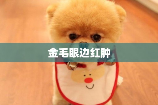 金毛眼邊紅腫