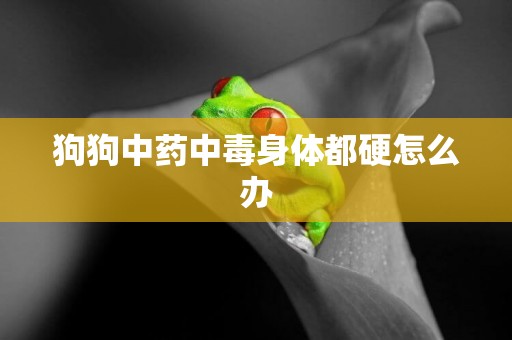 狗狗中藥中毒身體都硬怎么辦