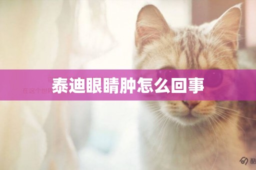泰迪眼睛腫怎么回事