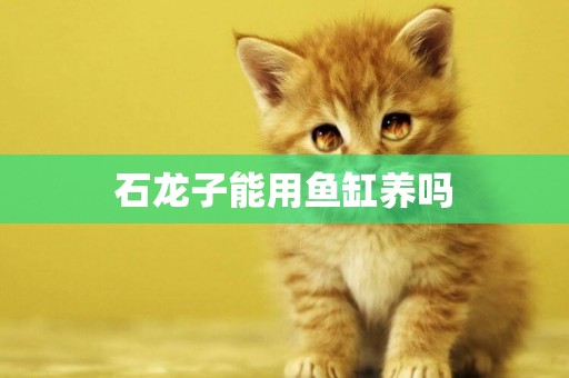 石龍子能用魚缸養嗎