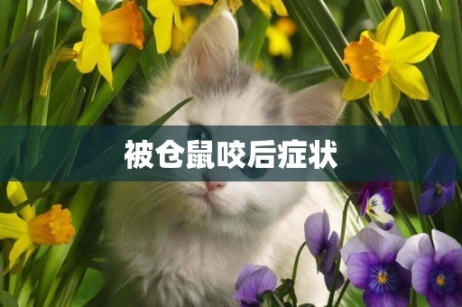 被倉鼠咬后癥狀