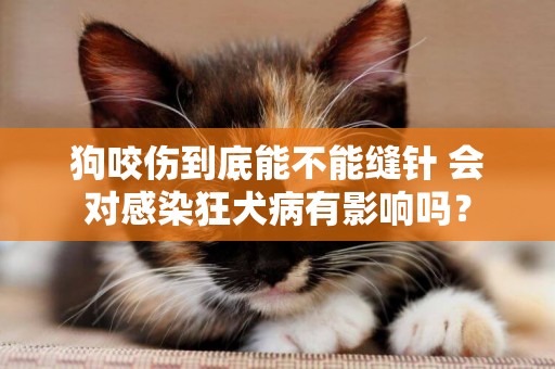 狗咬傷到底能不能縫針 會對感染狂犬病有影響嗎？