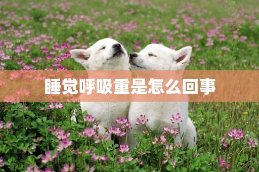 睡覺呼吸重是怎么回事