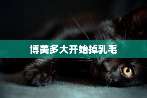 博美多大開始掉乳毛