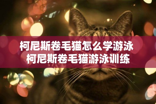 柯尼斯卷毛貓怎么學游泳 柯尼斯卷毛貓游泳訓練