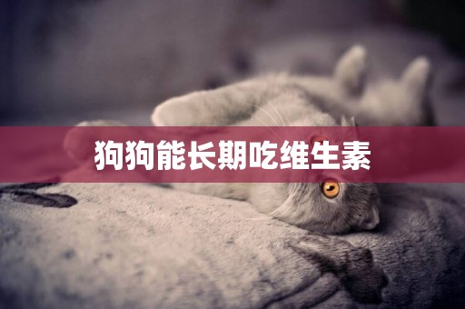 狗狗能長期吃維生素