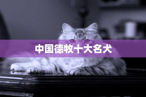 中國德牧十大名犬