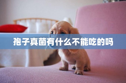 孢子真菌有什么不能吃的嗎