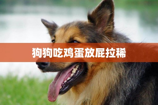 狗狗吃雞蛋放屁拉稀