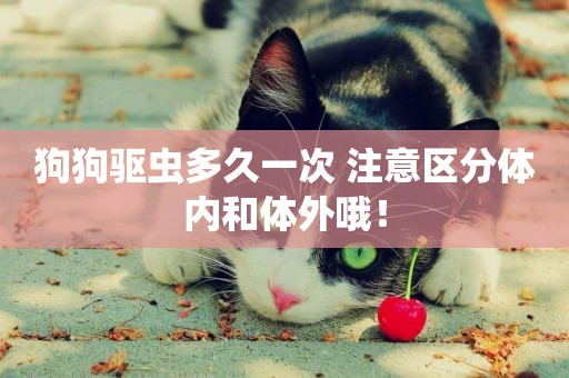 狗狗驅蟲多久一次 注意區分體內和體外哦！