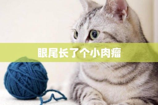 眼尾長了個小肉瘤