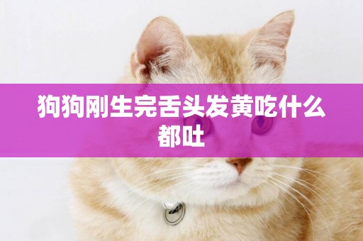 狗狗剛生完舌頭發黃吃什么都吐