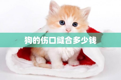 狗的傷口縫合多少錢