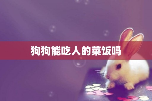 狗狗能吃人的菜飯嗎