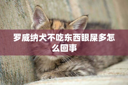 羅威納犬不吃東西眼屎多怎么回事