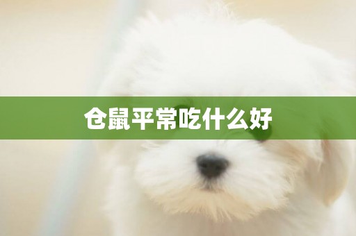 倉鼠平常吃什么好