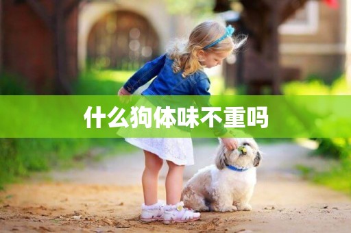 什么狗體味不重嗎