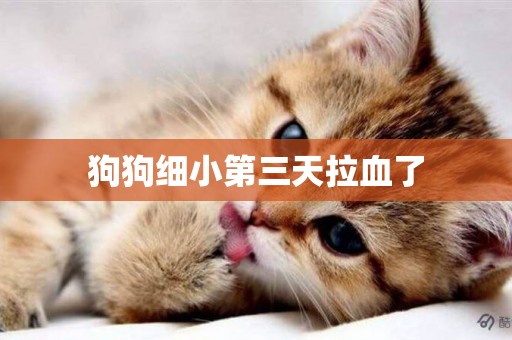 狗狗細小第三天拉血了