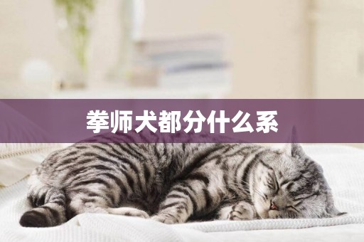 拳師犬都分什么系