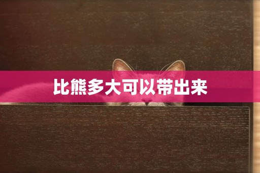 比熊多大可以帶出來