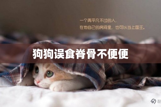 狗狗誤食脊骨不便便