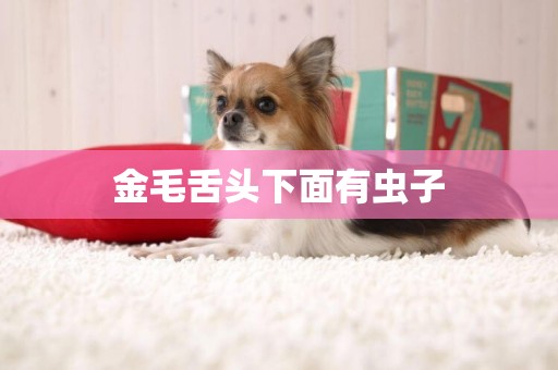 金毛舌頭下面有蟲子