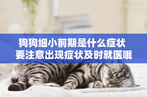 狗狗細小前期是什么癥狀 要注意出現癥狀及時就醫哦！