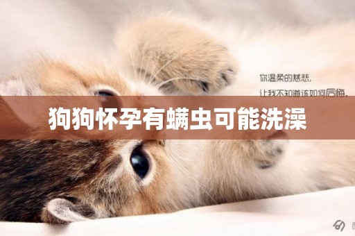 狗狗懷孕有螨蟲可能洗澡