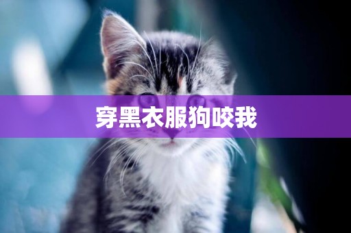 穿黑衣服狗咬我