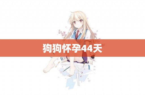 狗狗懷孕44天