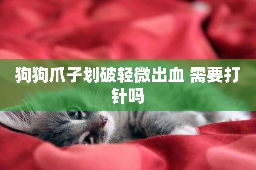 狗狗爪子劃破輕微出血 需要打針嗎