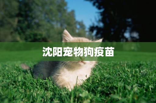沈陽寵物狗疫苗