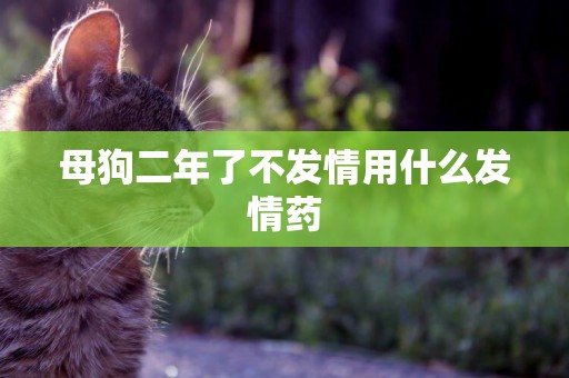母狗二年了不發情用什么發情藥
