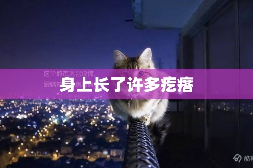 身上長了許多疙瘩