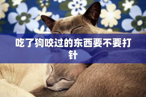 吃了狗咬過的東西要不要打針