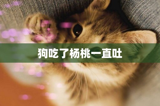 狗吃了楊桃一直吐
