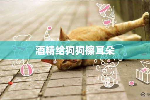 酒精給狗狗擦耳朵