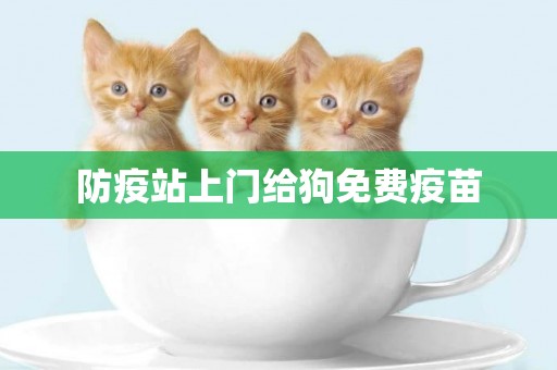 防疫站上門給狗免費疫苗