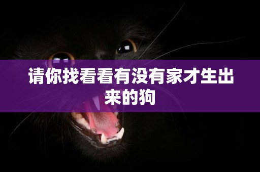 請你找看看有沒有家才生出來的狗