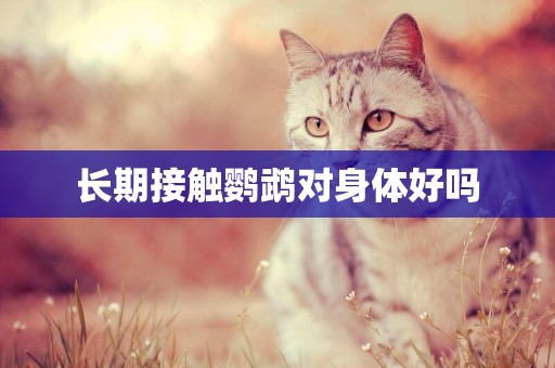 長期接觸鸚鵡對身體好嗎