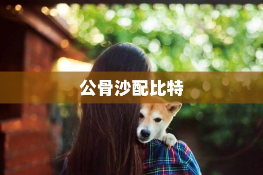 公骨沙配比特