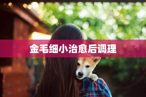 金毛細小治愈后調理