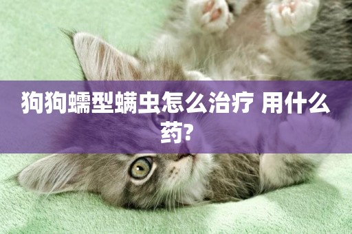 狗狗蠕型螨蟲怎么治療 用什么藥?