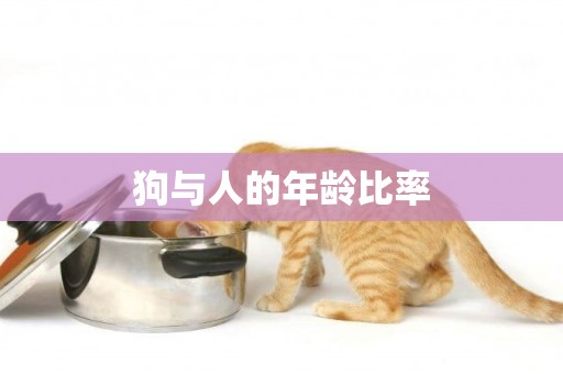 狗與人的年齡比率