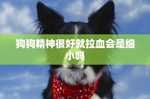 狗狗精神很好就拉血會是細小嗎