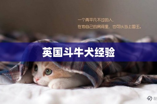 英國斗牛犬經驗