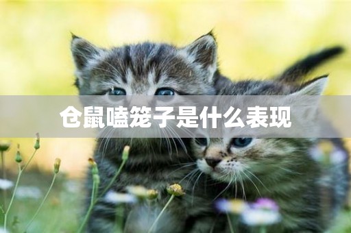 倉鼠嗑籠子是什么表現