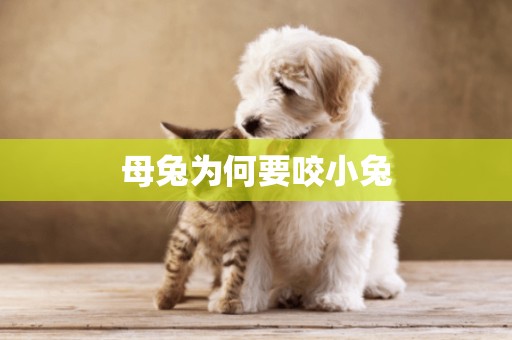 母兔為何要咬小兔